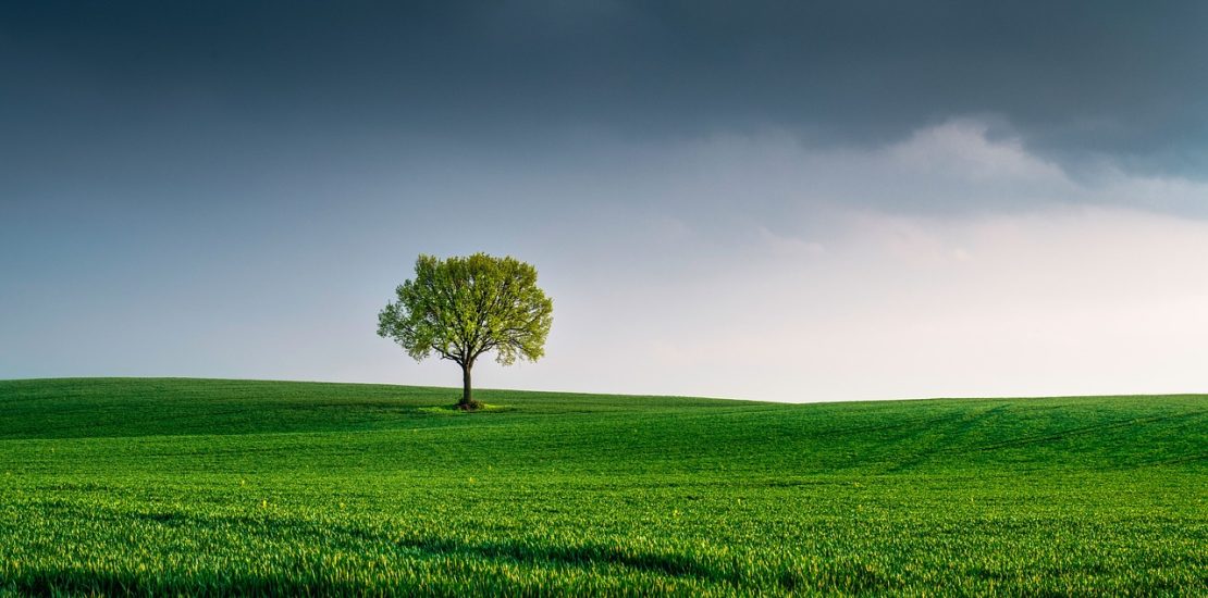 Gestione Ambientale