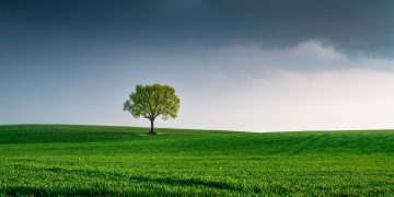 Gestione Ambientale